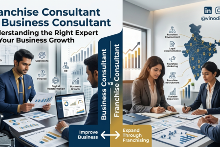Business consultant vs franchise consultant comparison for business growth